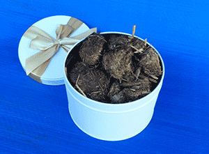 Horse Shit in Luxury Tin