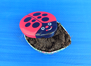 Cow Pat - Revenge Shit in a Lucky Ladybird