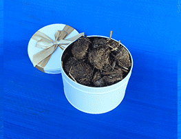 Fine Revenge Present - Send Shit in Charming Luxury Tin