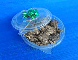 Send Shit - Simple, Fast, Easy and Cheap. Good for Buddies and Friends